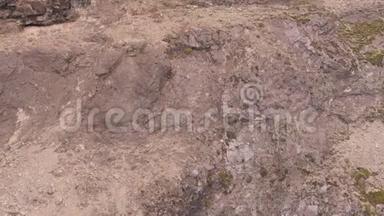空中拍摄了一群奔跑的伊贝克斯在陡峭的山上。
